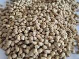 Feed That Delivers – Consistent Results for Poultry &amp; Livestock - фото 1