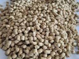 Smart Feed Blends – Targeted Nutrition for Maximum Output