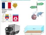 Автотранспортні вантажні перевезення з Бордо в Бордо разом з Logistic Systems - photo 7