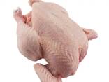 Best Grade Quality Halal Chicken - фото 3