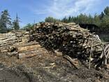 Charbon de bois - photo 5
