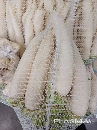 Daikon radish from Poland