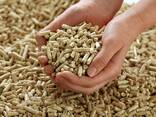 Fir, Pine, Beech wood pellets en plus a1/EN plus-A1 6mm/8mm wood pellets in 15kg bags for - фото 7