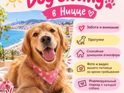 Dog sitting | передержка питомца