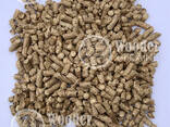 ENplus A1 wood pellets from direct producer - photo 2