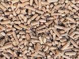 Wood Pellets - фото 3