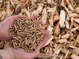 Environment-friendly energy wood pellets for heating good quality fuel - фото 1