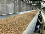 Europe Wood Pellets DIN PLUS / ENplus-A1 Wood Pellets