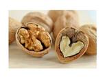 Factory supply walnut lowest price in shell walnuts kernels - фото 3