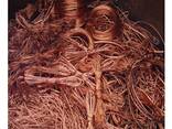 Fast Delivery Popular Top Grade Pure Copper Scrap Copper Wire Scrap 99.99% for sale - фото 2