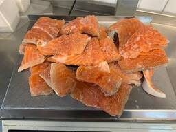 Frozen Salmon Bits &amp; Pieces; Atlantic Salmon