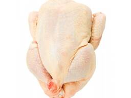 Halal Frozen Whole Chicken