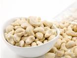 Good Quality Cashew Nuts / Cashew Nut Kernels W240 W320 - photo 3