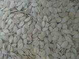 Graines de citrouille haricot lentilles - photo 2