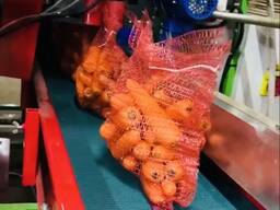 Grille pour légumes en rouleau 34*50 pour conditionnement automatique