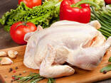 Halal - Frozen Chicken, Thigh, Back quarter, Wings , Fillet IPBF , IQF, BF. Ukraine - photo 3