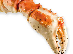 High quality seafood fresh frozen red crab / fresh king crab/ frozen mud crab/ blue crab