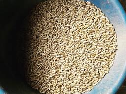High quality Wood Pellets