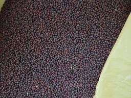 I will sell black mustard 200t. , brown flax 200t.