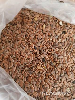 Лен, flax seeds