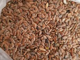Лен, flax seeds