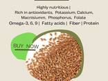 Mustard Seeds Sale Supplies turnkey DAP DDP Europe UK from Poland company - BUY NOW! - фото 3