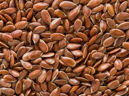 Nous vendons du lin brun.