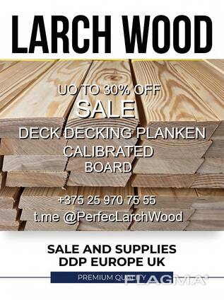 Larch Wood and Plywood Birch sale from a warehouse in Europe up to 30% off