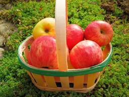Paniers en placage de fruits