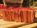 Pine Timber - фото 1