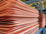 Pure Copper Cathode 99.99 Free Samples - photo 2