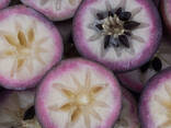 Purple Star Apple from Vietnam