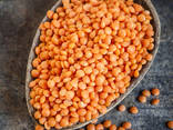 Red lentils - photo 1