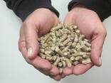 Sawdust Pine Wood Pellets High quality - фото 2