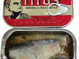 Titus Sardine - photo 1