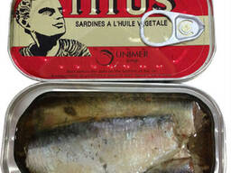 Titus Sardine