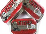 Titus Sardine - photo 2