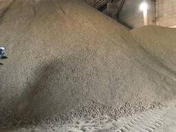 Tourteau de tournesol