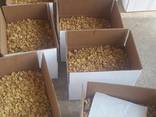 vente de noix, 2019-2020. 200 tonnes par semaine - photo 4