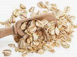 Wholesale Cheap Price Best Quality Organic Brown AD Dried Oats Flakes 24 Months - photo 3