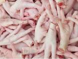 Wholesale Halal Frozen Chicken Feet/Paws /drum stick / Frozen Chicken Feet/High Quality Fr - фото 1