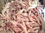Wholesale Halal Frozen Chicken Feet/Paws /drum stick / Frozen Chicken Feet/High Quality Fr - фото 6