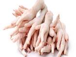 Wholesale Halal Frozen Chicken Feet/Paws /drum stick / Frozen Chicken Feet/High Quality Fr - фото 8