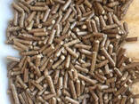 Wood Pellets Sawdust Wood Cylinder - photo 1