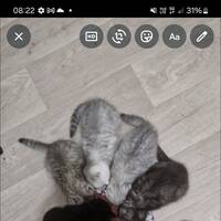 Souleimanova Dachobic Younussovna